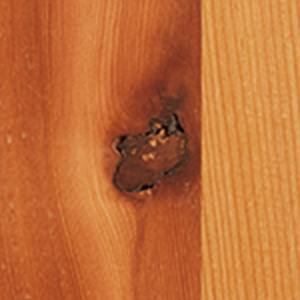 ノット・ピンノット